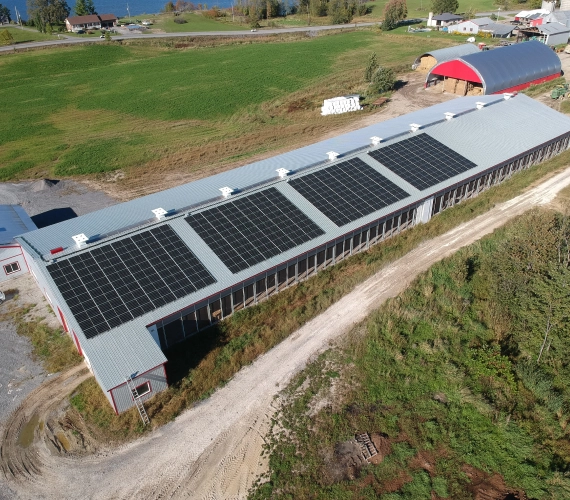 Solar Panel Installation Greely