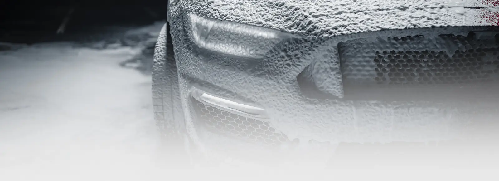 Car/ SUV Shampooing Services in Toronto