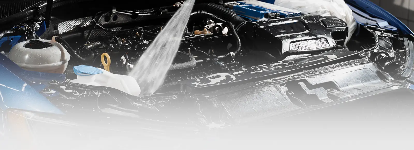 REVITALIZE YOUR RIDE