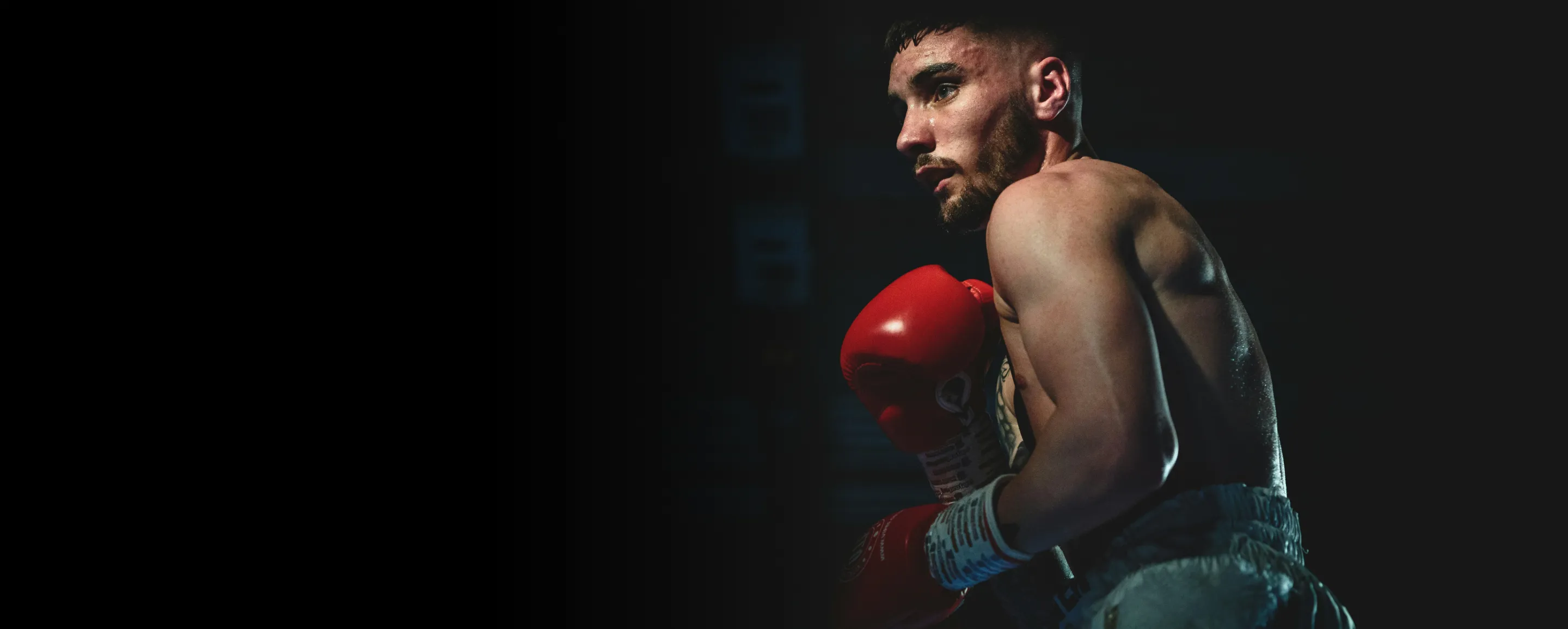 Explore
Youth boxing classes, personal boxing training,
High-intensity boxing classes and 
Late-night boxing programs at adam willett technique boxing