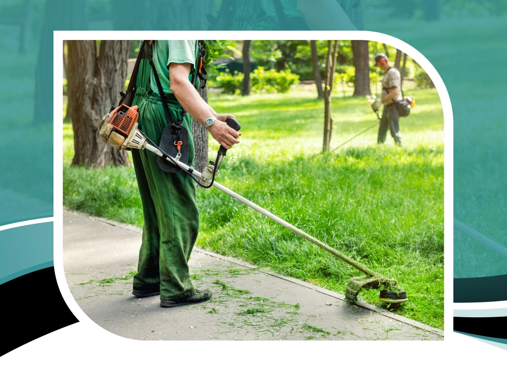 Yard Maintenance For Seniors