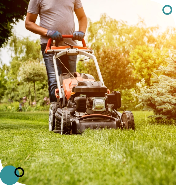 Yard Cleanup For Seniors