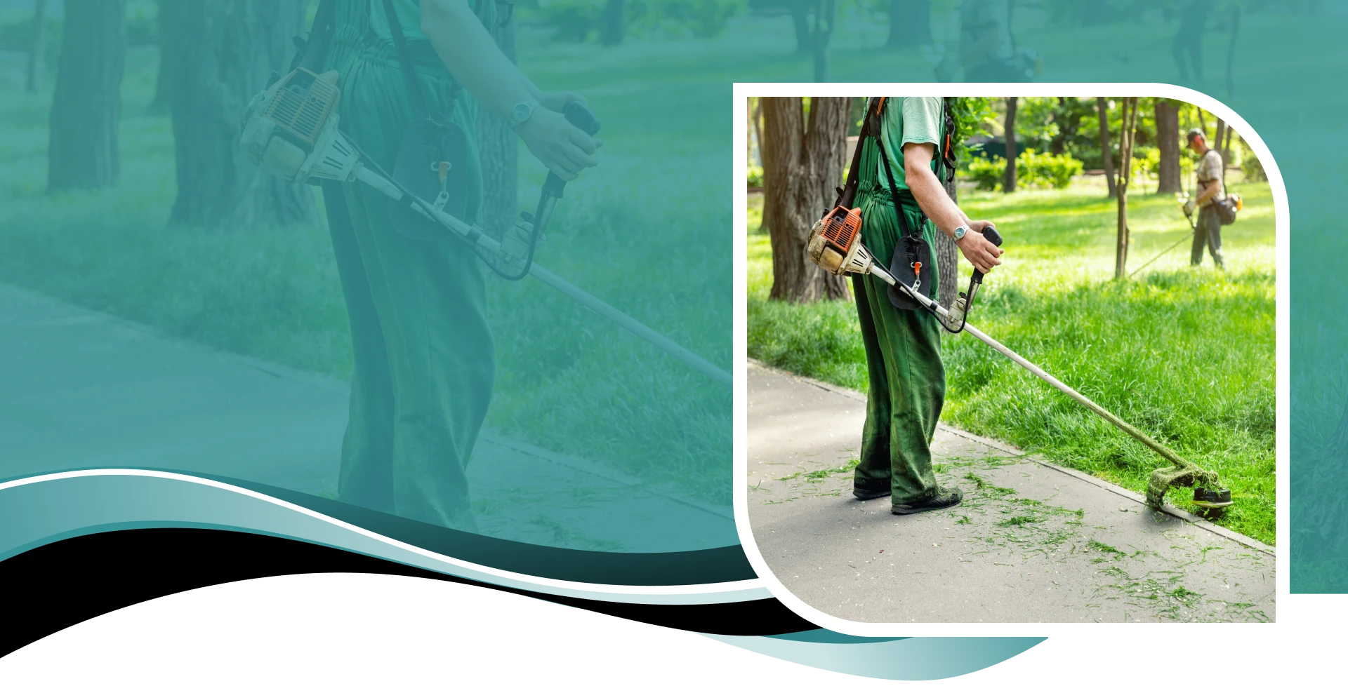 Yard Maintenance For Seniors