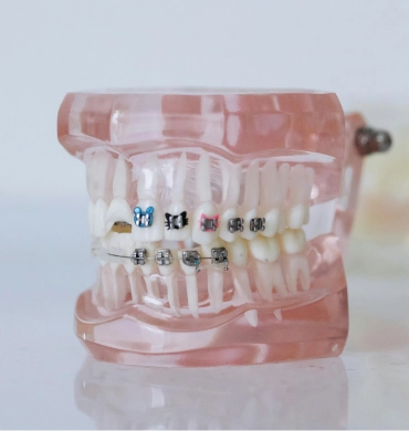 Dental Clinic North York