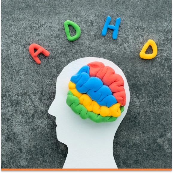 Medication Management Tampa