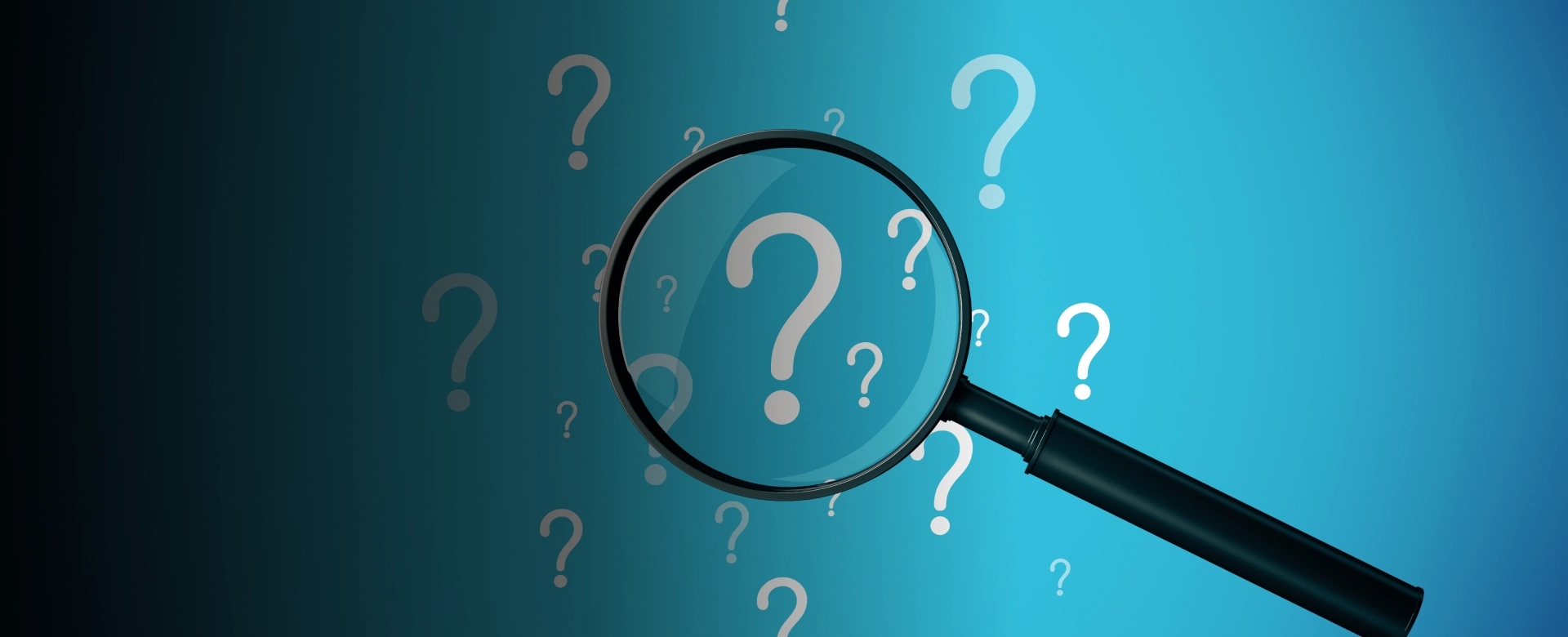 holistic wellness FAQ
