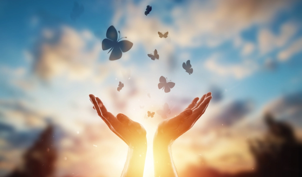 Wellness Solutions Bridgeport