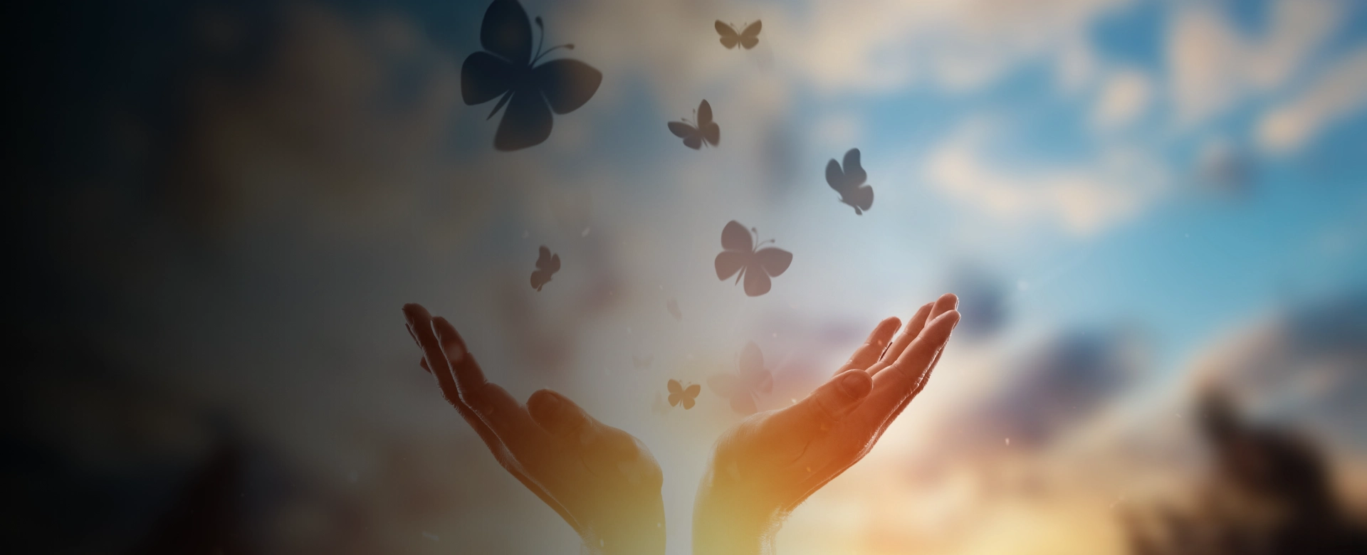 Wellness Solutions Bridgeport