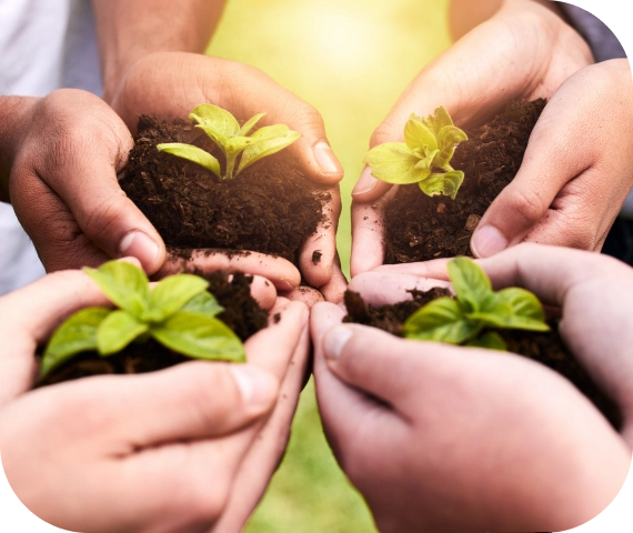 Sustainable Farming Practices in Beltsville