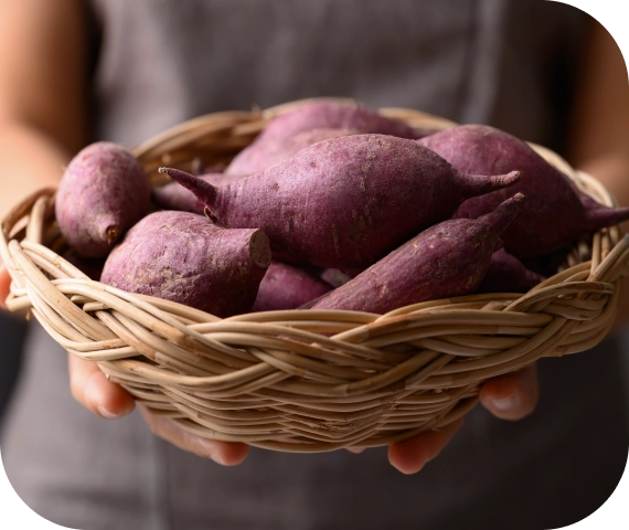 Unique Organic Varieties for Diverse Diets in Beltsville