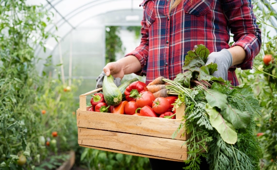 Organic Produce Delivery