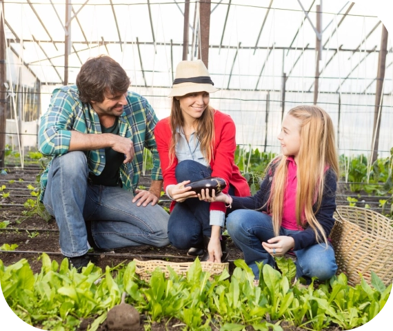 Guided Farm Tours
