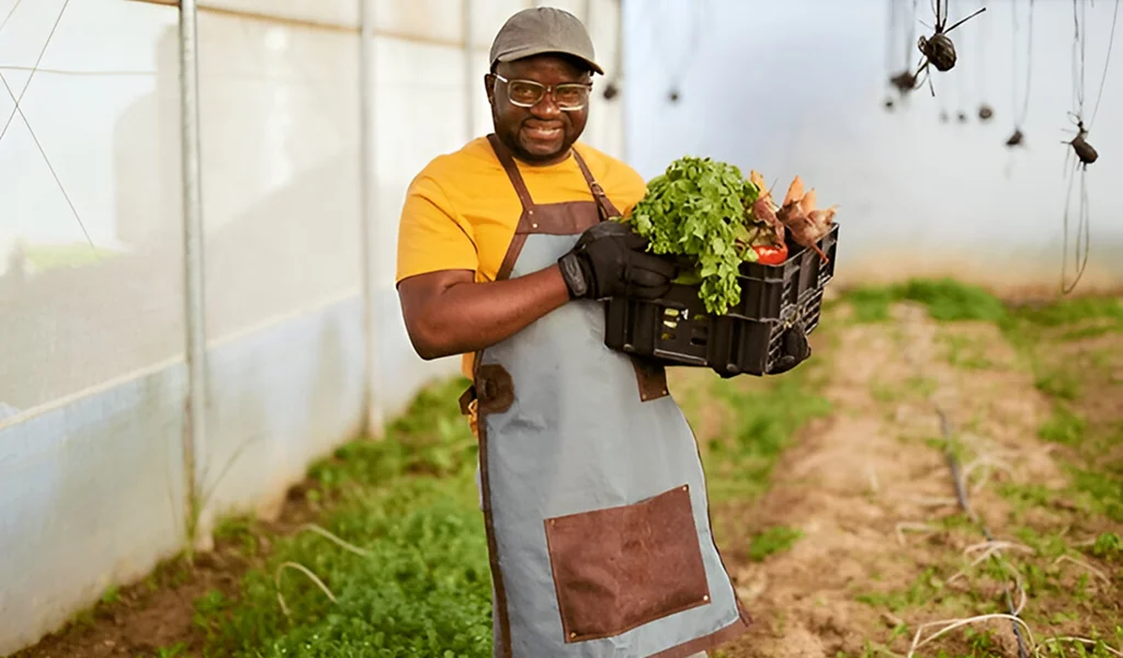 Discover the Beauty of Sustainable Farming with Decentra Farm Tours