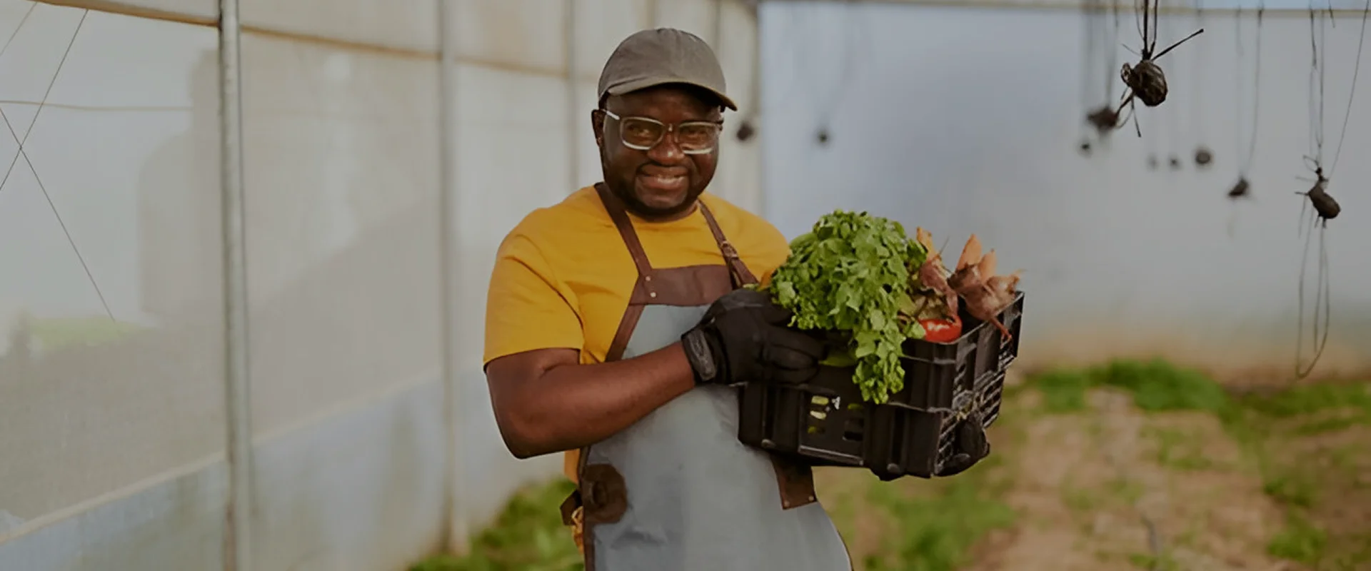 Discover the Beauty of Sustainable Farming with Decentra Farm Tours