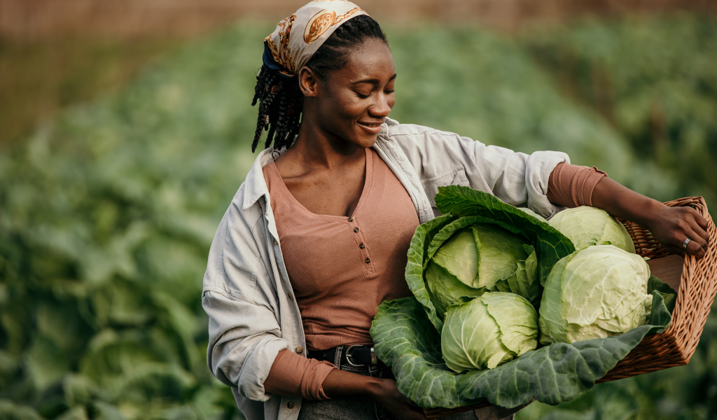 Welcome to Decentra.Farm: Where Ancient Wisdom Feeds the Future