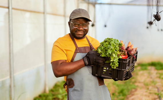 Farm Tours