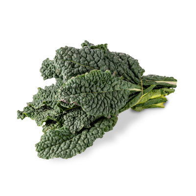 Dinosaur Kale