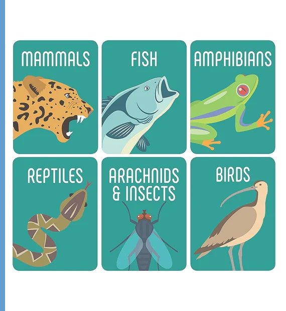 Dewey Decimal Classification Labels for Library Books