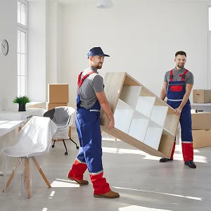 customizable moving solutions
