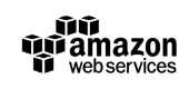 Amazon Web Services Blockchain