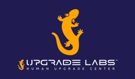 upgrade labs