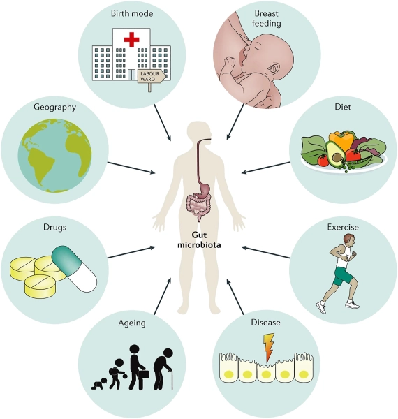 Longevity Practices Workshop
