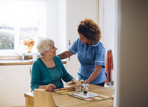 Homemaker Services