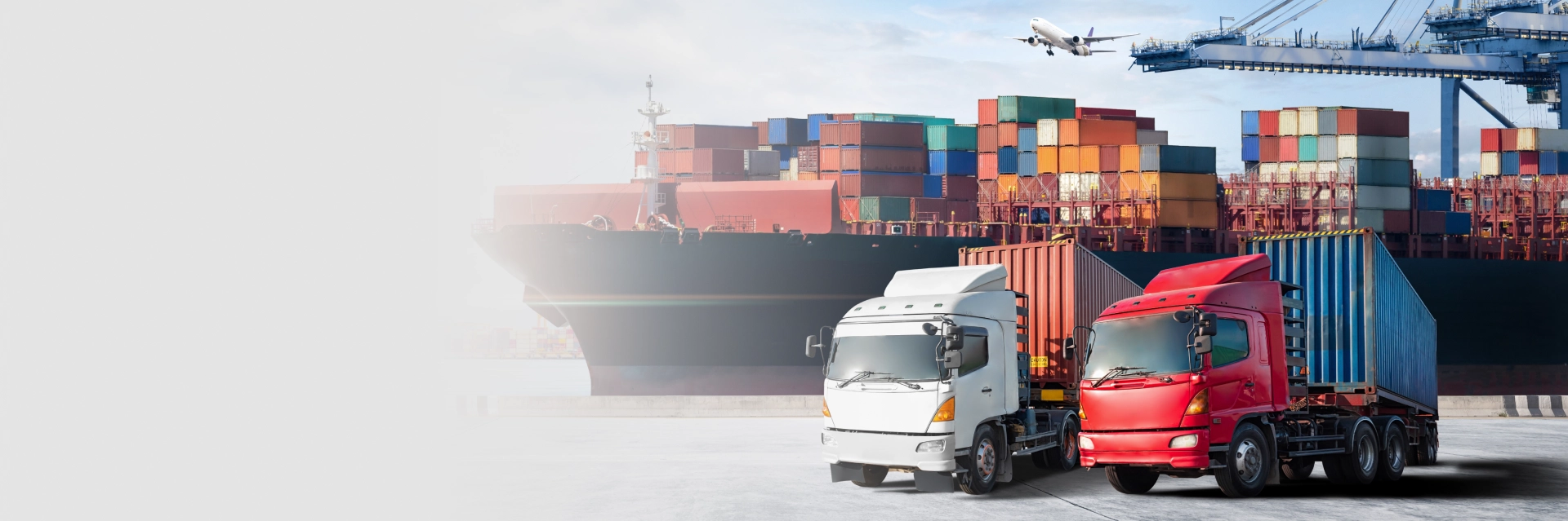 International Relocation Services