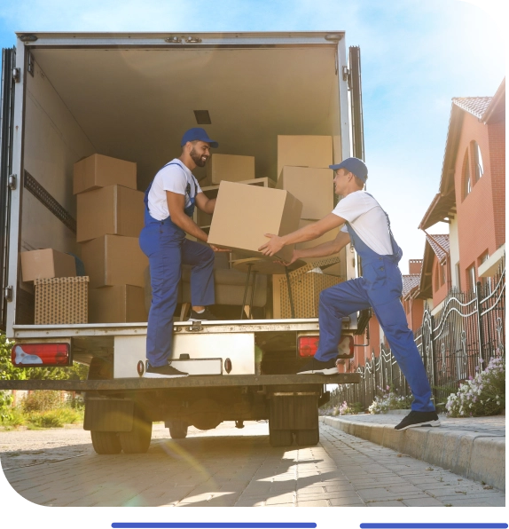 Services We Offer