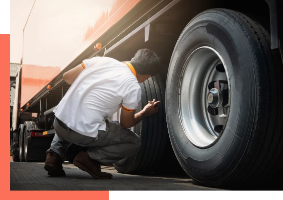 expert vehicle care