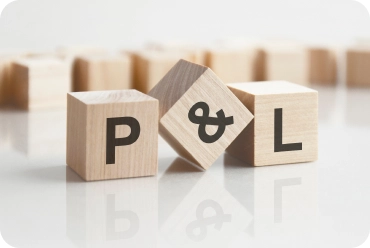 P&L Management & Commercial Effectiveness