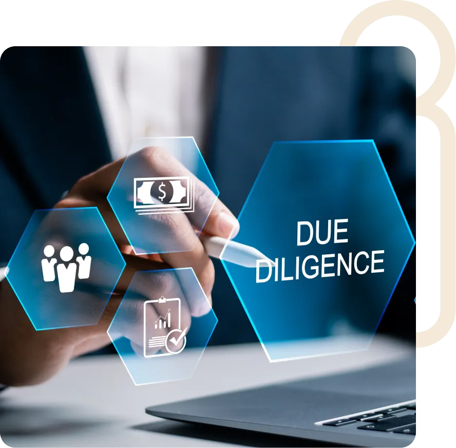 Due Diligence