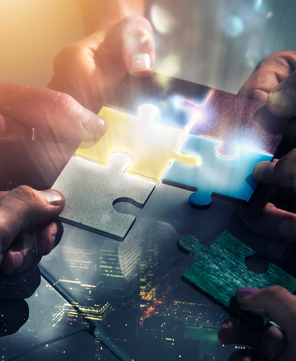 Post Merger Integration Services