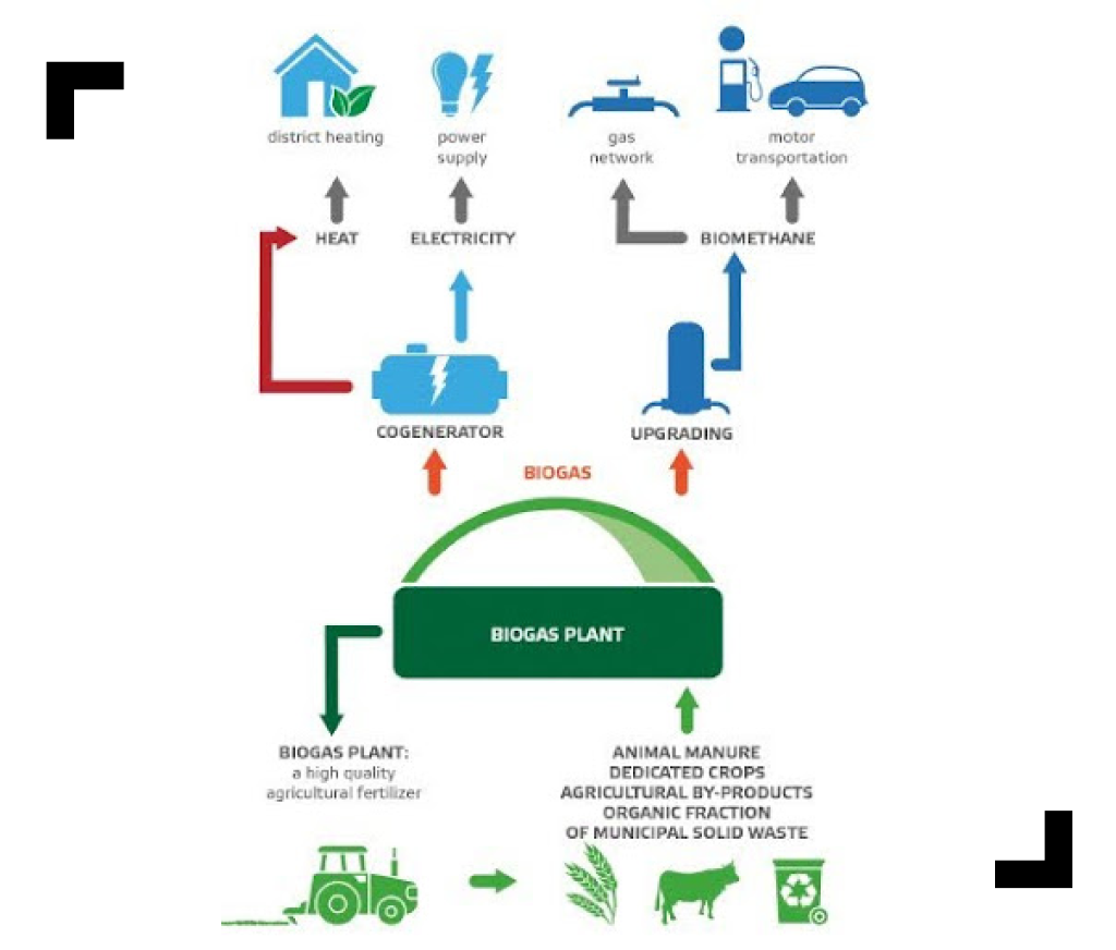 Energy Efficiency Consulting