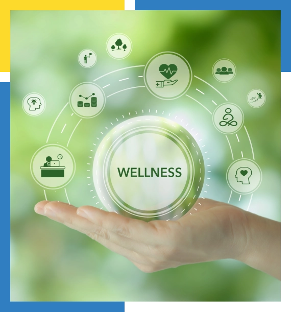 Online Fitness Training Programs