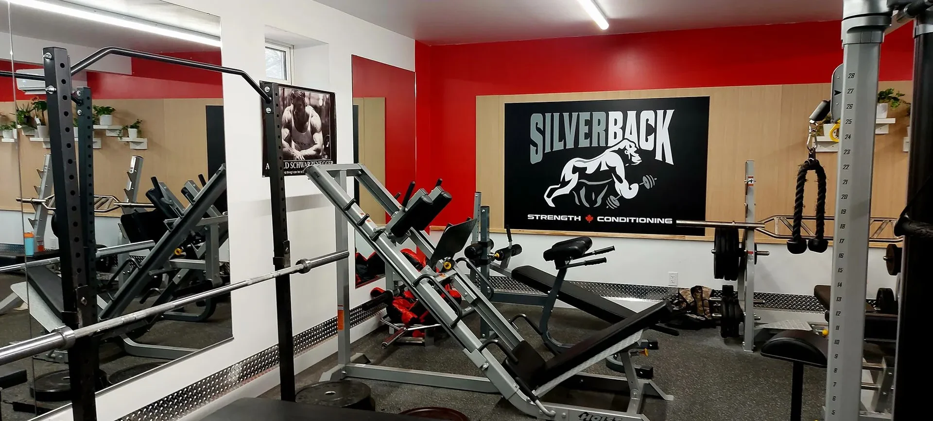 Silverback Strength and Conditioning