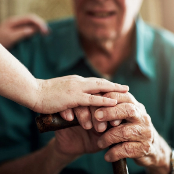 Elderly Support Services