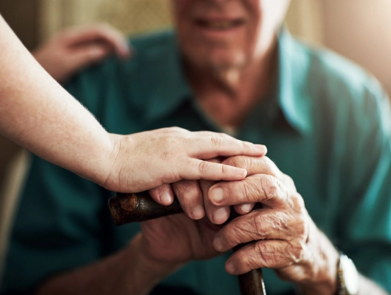 Elderly Support Services