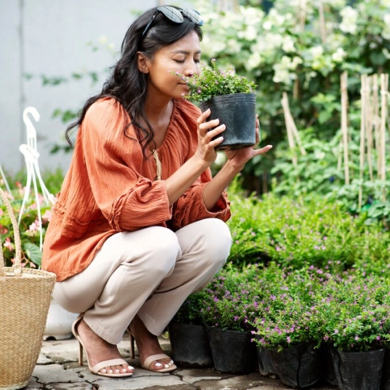 Home Gardening & Food Sustainability