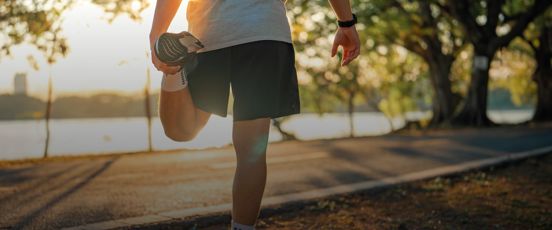 Dietary Supplements For Joint Health