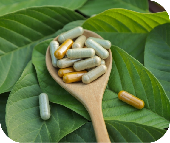 Filler Free Supplements