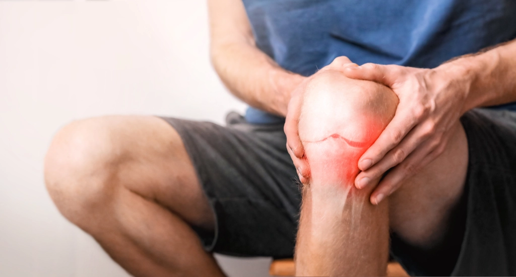 Joint Cartilage Supplements

