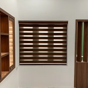 Zebra Blinds