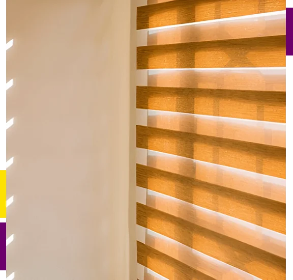 Stylish Light Control with Dual Shade Blinds