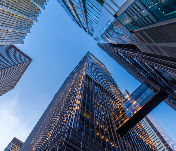 Repossession Sales