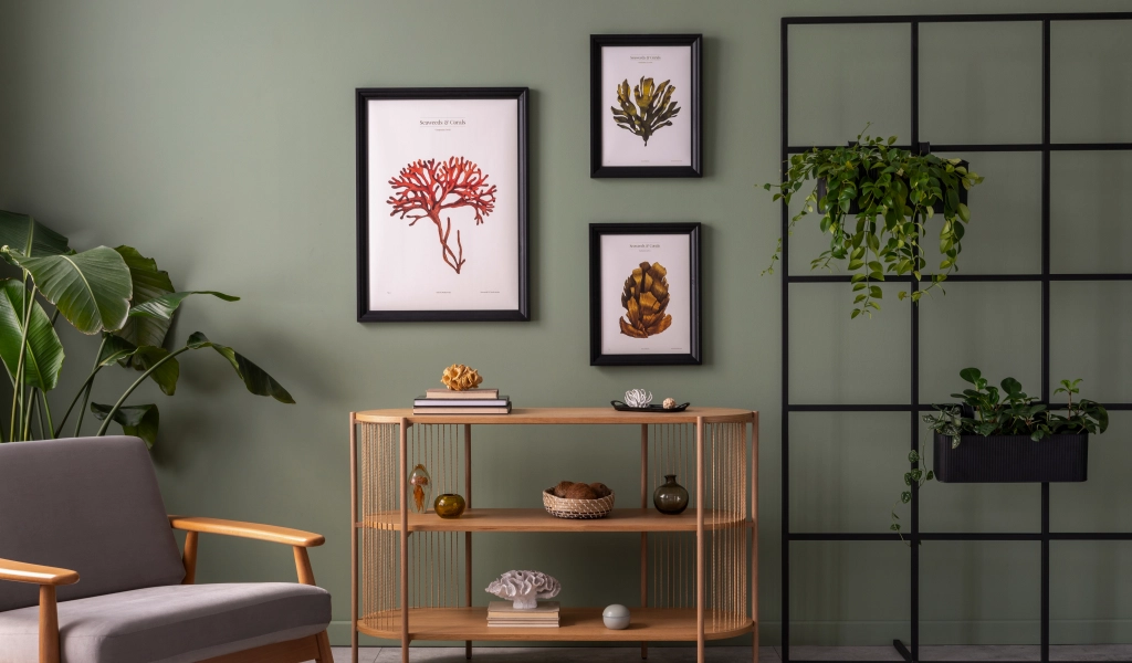 creative wall decorations