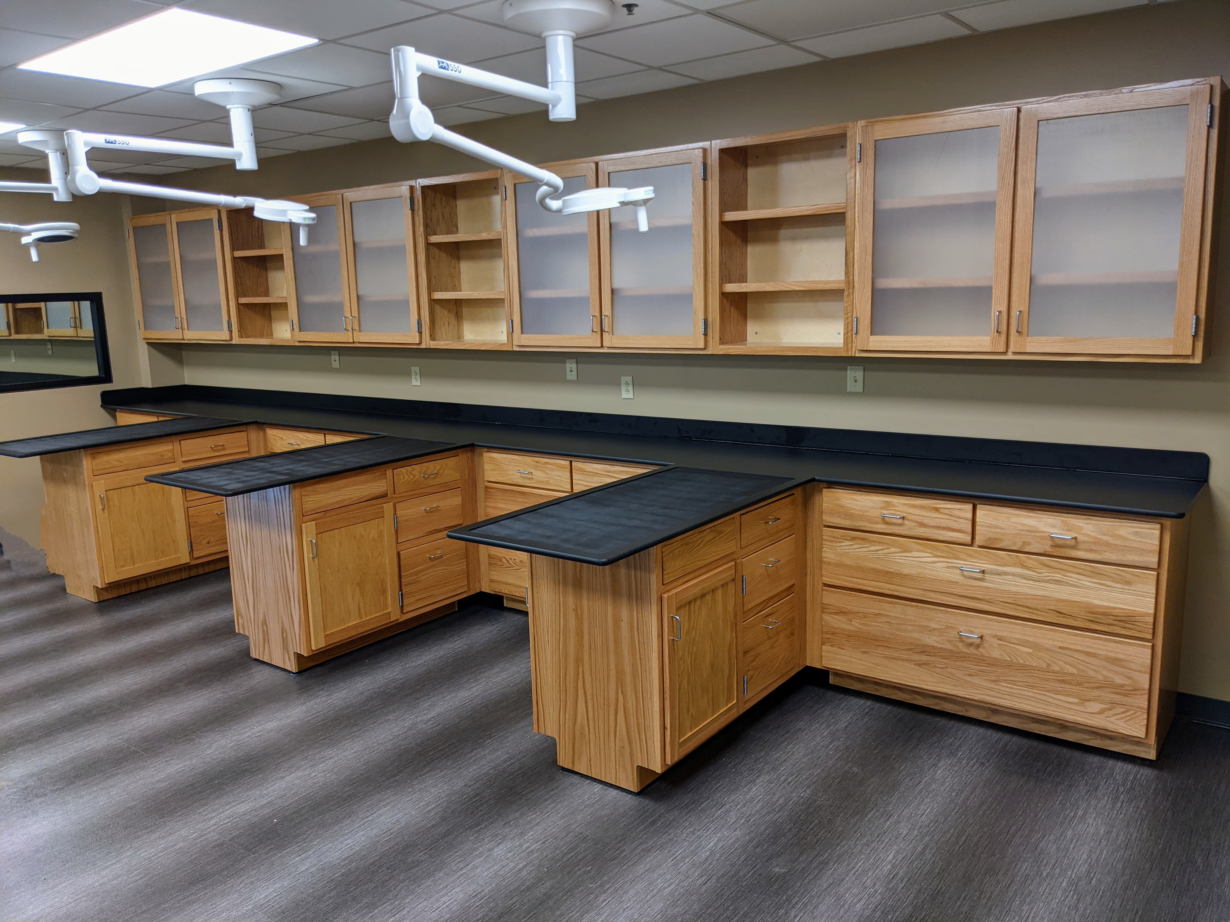 Science Lab Remodeling