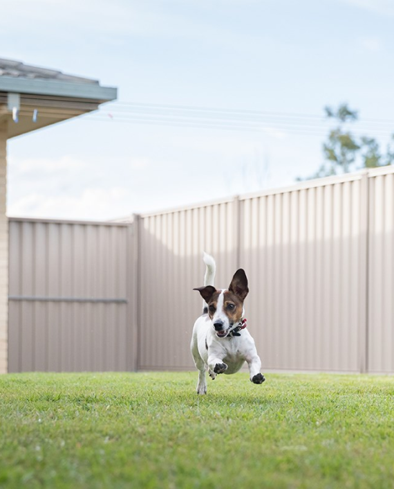 Custom Vinyl Fence Installation