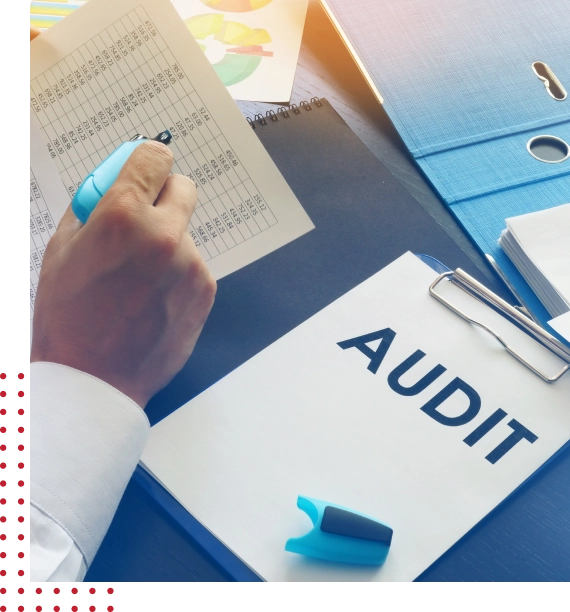 IRS Audit Help