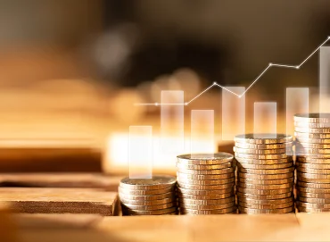 Outsourced CFO Service